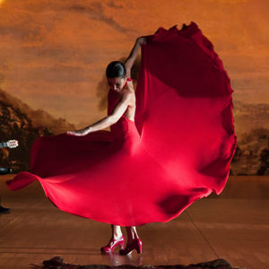 fotosp_flamencoflamenco5