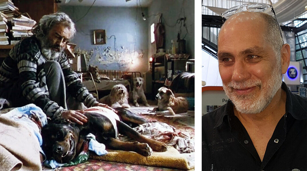 amores perros